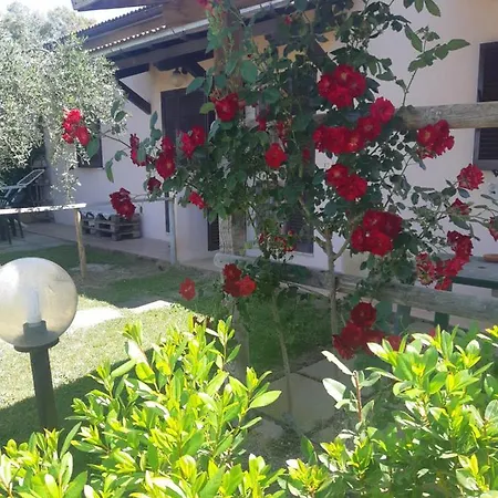 Girasole
